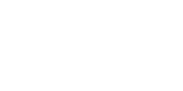 persimmon-logo